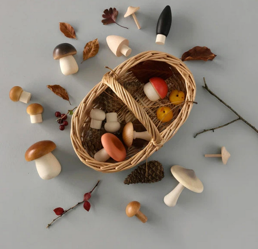 moon picnic mushrooms